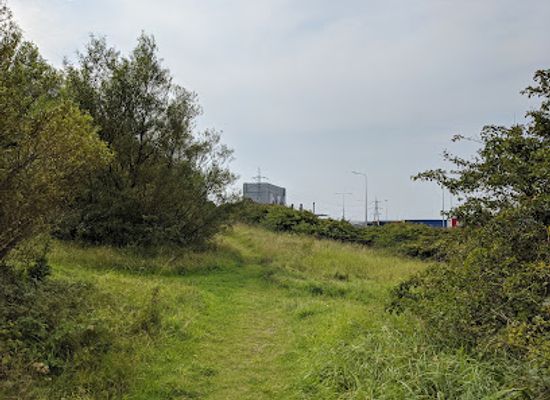 united-kingdom/lancashire/attraction/heysham-nature-reserve