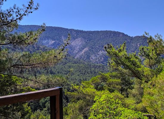 cyprus/troodos-mountains/attraction/platania