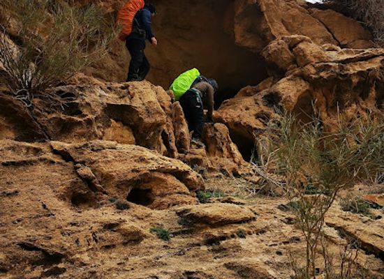 jordan/al-karak-plateau/attraction/wadi-saieda