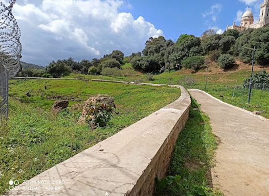 algeria/annaba/attraction/roman-theatre-of-hippo