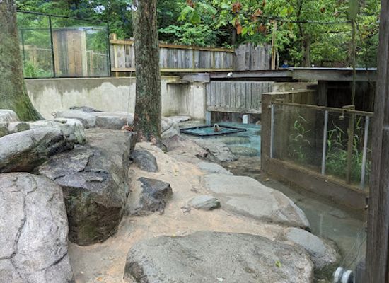 north-carolina/asheville-area/attraction/western-north-carolina-nature-center