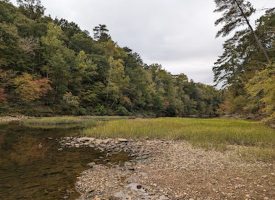 alabama/cahaba-river/attraction/cahaba-river-unidentified-park-creek