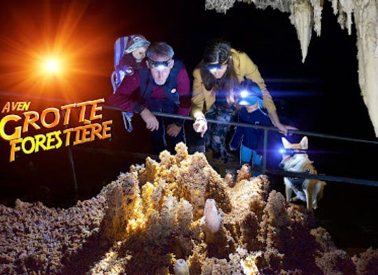 france/ardèche-gorges/attraction/grotte-aven-forestiere-grotte-en-ardeche