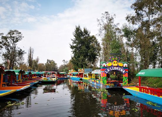 mexico/mexico-city/xochimilco/attraction/trajineras-xochimilco-don-pedro