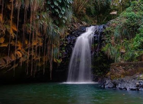 grenada/gouyave/attraction/annandale-waterfall-forest-park