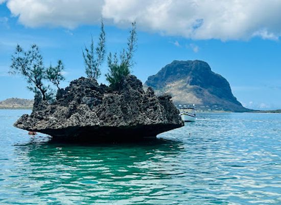 mauritius/bel-ombre/attraction/dolphin-warrior-swimming-with-dolphins