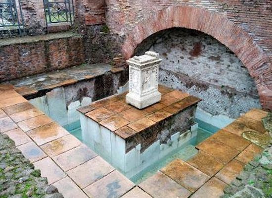 italy/rome/attraction/fonte-di-giuturna