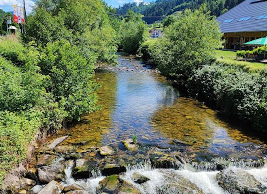 germany/black-forest/attraction/black-forest-open-air-museum