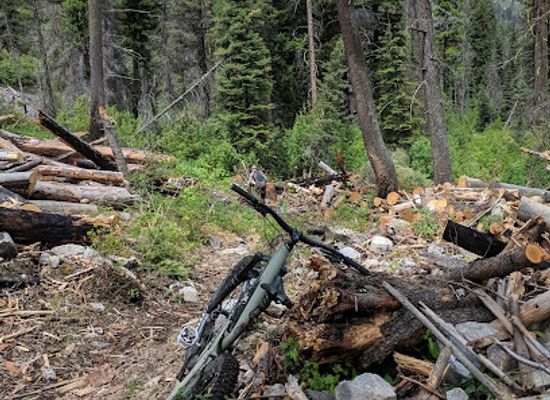 montana/bitterroot-national-forest/attraction/warms-springs-creek-trail