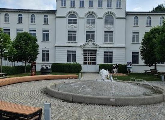 switzerland/thun/attraction/maison-cailler