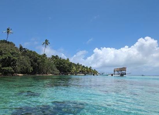 fiji/suva/attraction/leleuvia-island