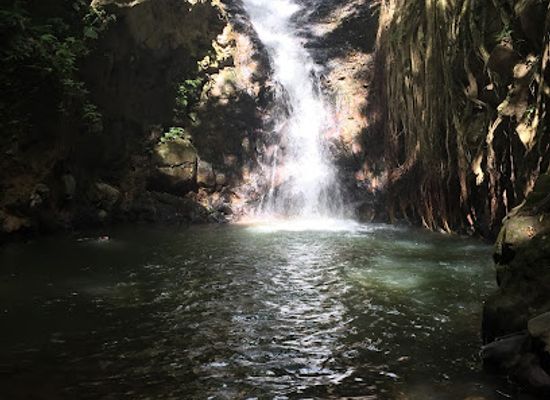 costa-rica/central-valley/attraction/catarata-los-murcielagos-monteverde-waterfall