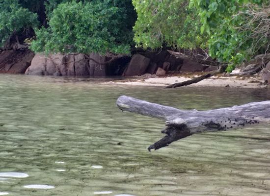seychelles/anse-royale/attraction/nilee-s-experience