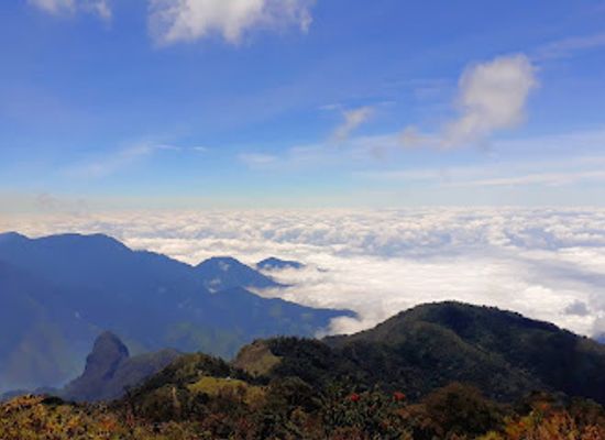 ecuador/southern-sierra/attraction/churo-de-amanta
