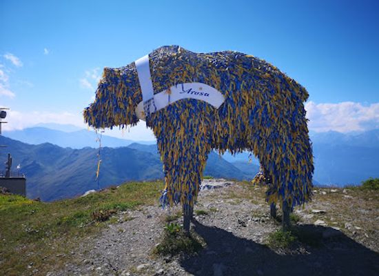 switzerland/davos/attraction/weisshorn-bear