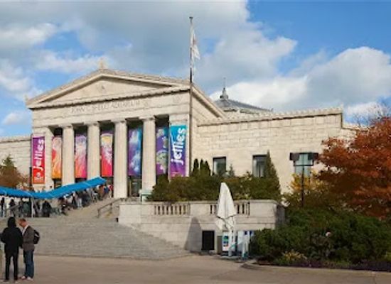 illinois/chicago/attraction/shedd-aquarium