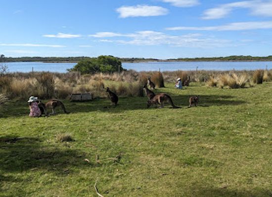 australia/tasmanian-wilderness/attraction/east-coast-natureworld