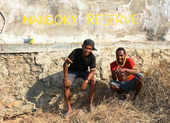 madagascar/ihorombe/attraction/mangoky-reserve