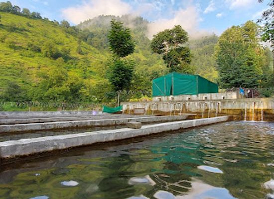 pakistan/kaghan/attraction/alpine-aqua-farm