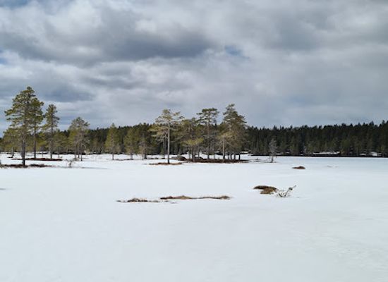 sweden/stoten/attraction/tandovala