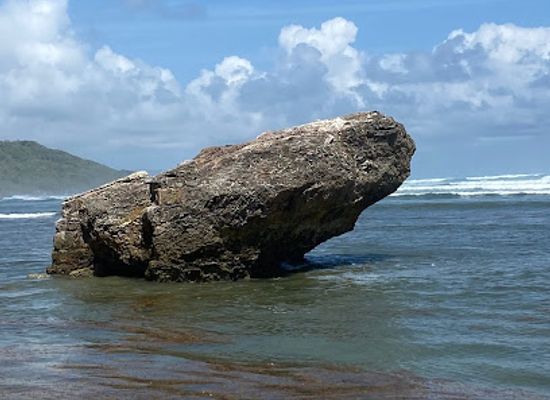 barbados/saint-john/attraction/frog-rock
