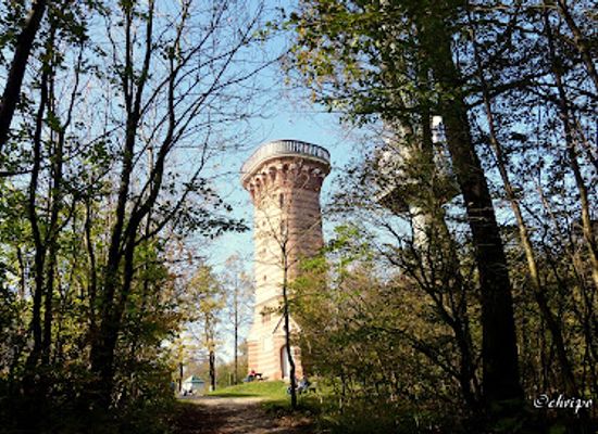 austria/vienna-woods/attraction/kronprinzessin-stefanie-warte