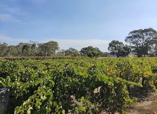 australia/barossa-valley/attraction/rockford-wines