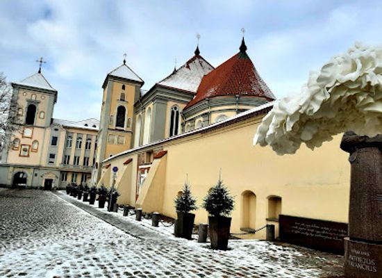 lithuania/kaunas/old-town-senamiestis/attraction/nemunas-and-neris-confluence-park