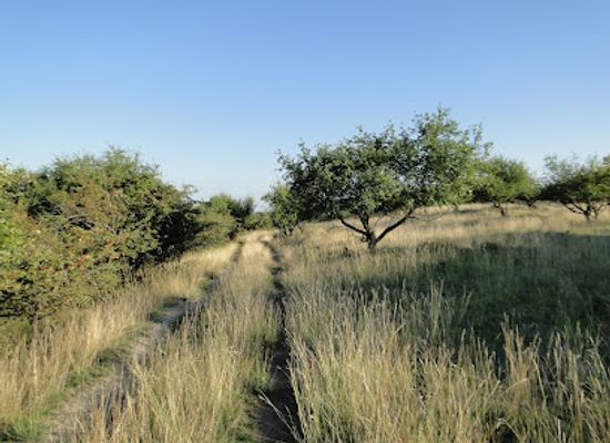 czechia/south-moravia/attraction/skalky-u-sedlece