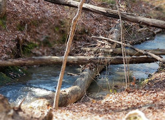 alabama/oak-mountain-state-park/attraction/maggie-s-glen