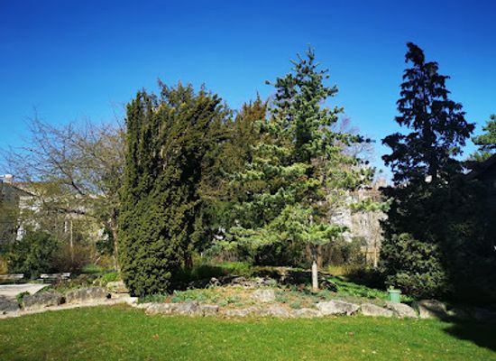 france/nancy/attraction/olry-park-nancy