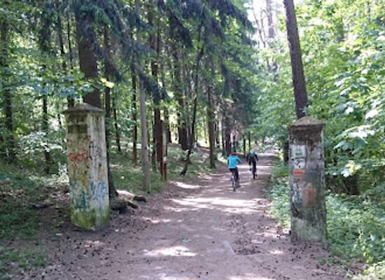 poland/olsztyn/attraction/forest-rope-park