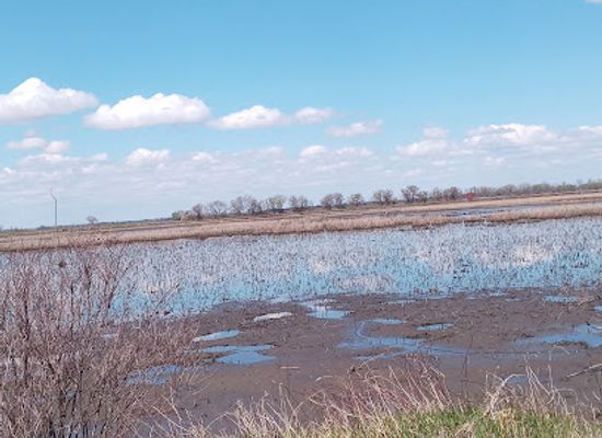 south-dakota/missouri-river/attraction/loess-bluffs-national-wildlife-refuge