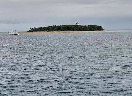 australia/port-douglas/attraction/wavedancer-low-isles-cruise