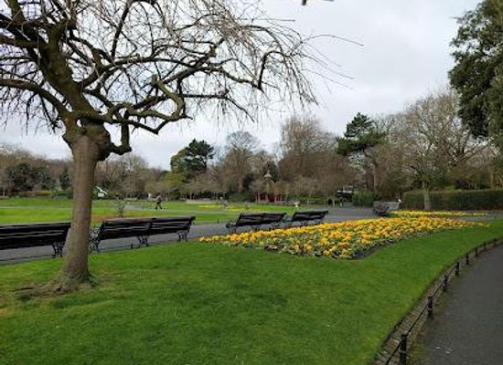 ireland/drogheda/attraction/st-stephen-s-green