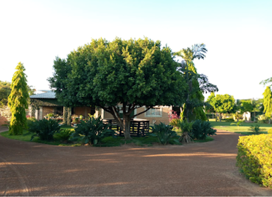 zambia/kabwe/attraction/kumushi-garden