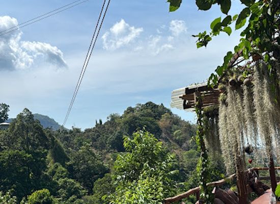thailand/koh-samui/attraction/treetop-tour-zipline