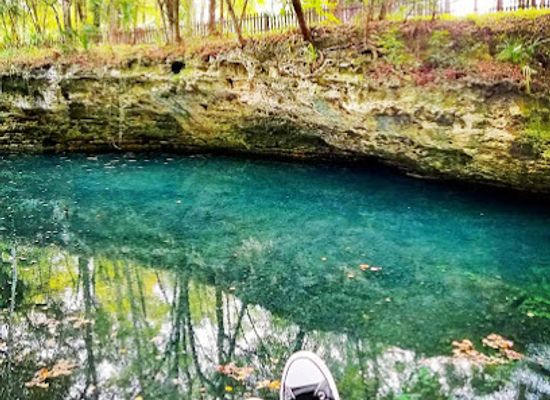 florida/ocala-national-forest/attraction/scott-springs-park
