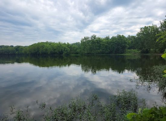 indiana/morgan-monroe-state-forest/attraction/virginia-b-fairbanks-art-nature-park