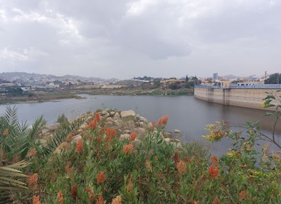 saudi-arabia/abha/attraction/damside-park