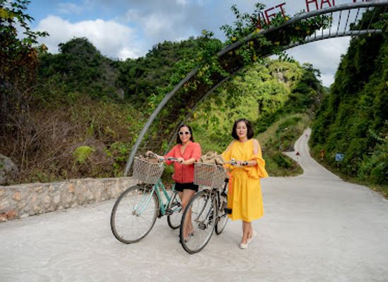 vietnam/cat-ba-island/attraction/cong-chao-lang-viet-hai