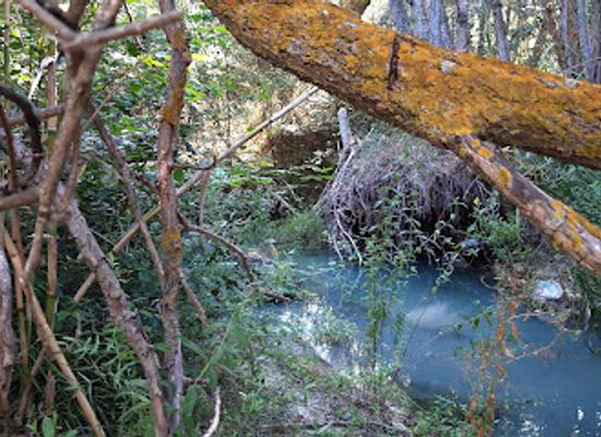 cyprus/limassol-district/attraction/wild-places-limnatis-limassol