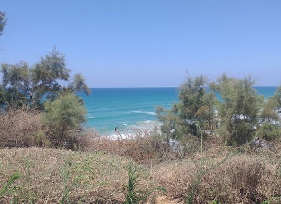 israel/netanya/attraction/shat-hrtsl-ntanya