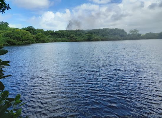 mauritius/flacq/attraction/bassin-requins