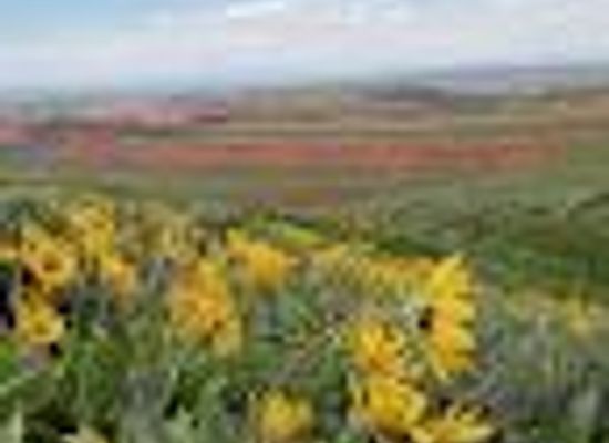wyoming/riverton/attraction/wind-river-visitors-council