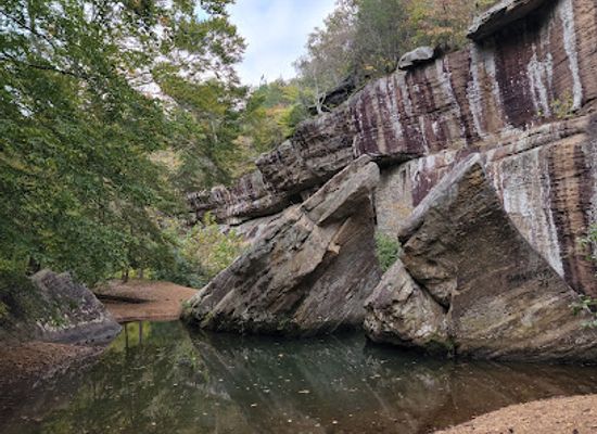 illinois/shawnee-hills/attraction/bell-smith-springs-scenic-area