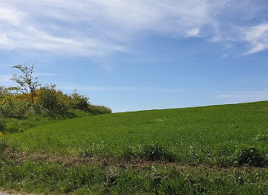 denmark/frederikshavn/landmark/gravhoj