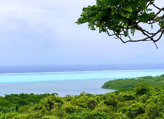 palau/ngeruangel/attraction/badrulchau-stone-monoliths