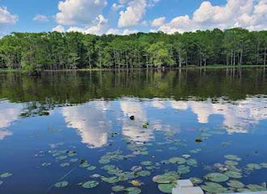 louisiana/north-louisiana/attraction/caddo-lake-national-wildlife-refuge