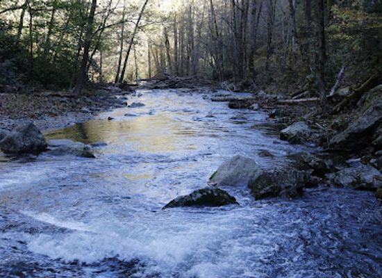 alabama/greater-birmingham/attraction/blue-ridge-nature-trail
